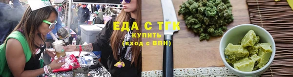 дживик Туринск