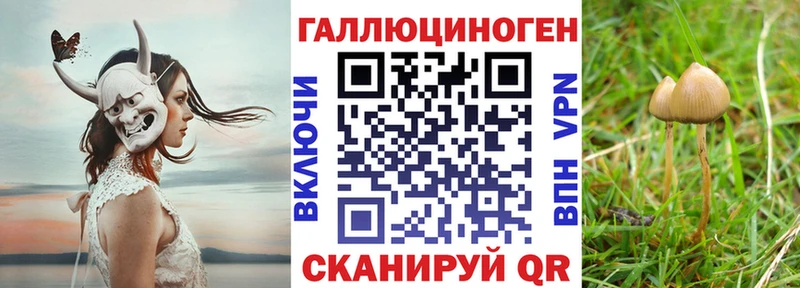 Купить  Бор  Галлюциногенные грибы ЛСД 