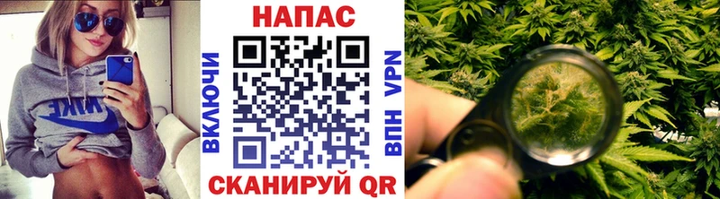 Купить  Бор  Бошки Шишки Amnesia 